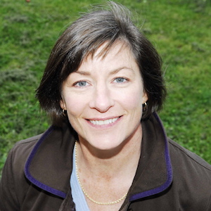 Dana Chisnell
